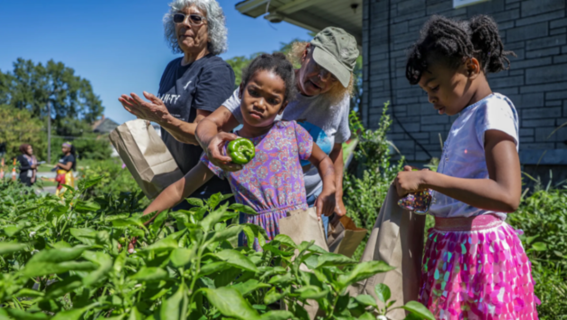 Avalon Village Learning Garden